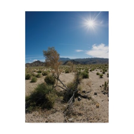 Thom Sivo 'Palm Springs Desert' Canvas Art,35x47